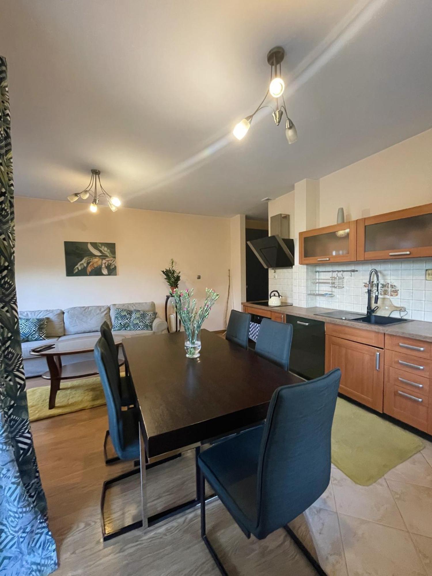 Apartament Idylla Apartment ซาโกปาเน ภายนอก รูปภาพ