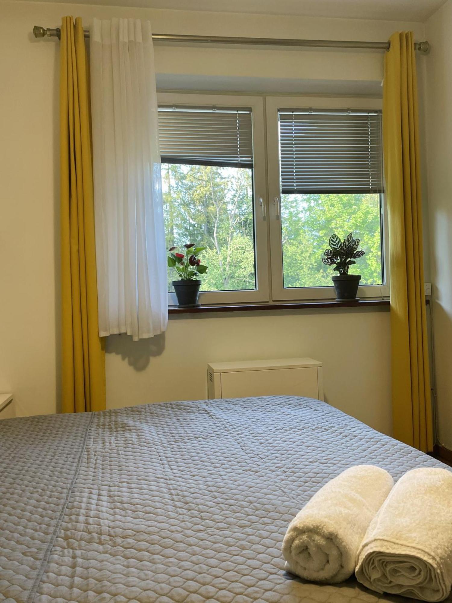 Apartament Idylla Apartment ซาโกปาเน ภายนอก รูปภาพ